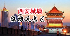 操逼电影操骚逼中国陕西-西安城墙旅游风景区