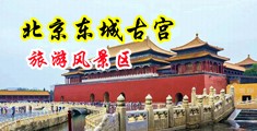 色女同视频中国北京-东城古宫旅游风景区